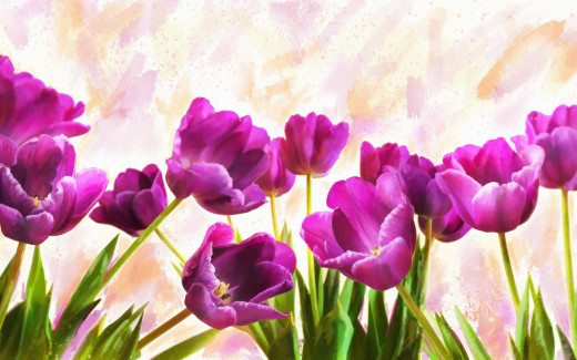 1183040 (a): :2880x1800